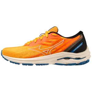 Blue Men Mizuno Wave Equate 7 Running Shoes | 7241-ONPJQ