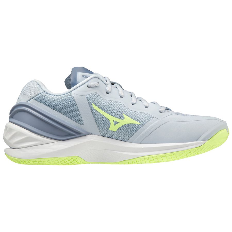 Grey Women Mizuno Wave Stealth Neo Handball Shoes | 0952-GKHMN